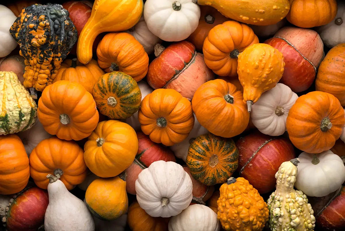 Beyond the harvest season